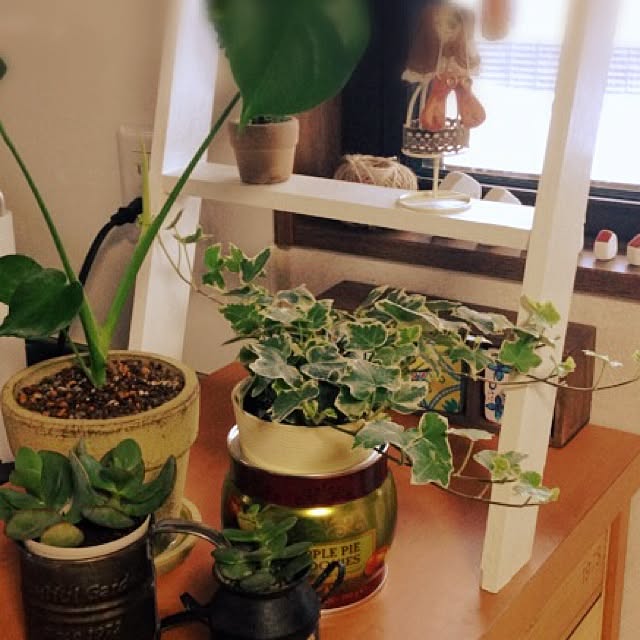 newさんの実例写真