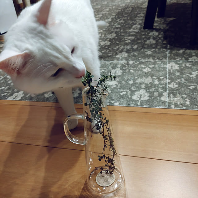 lelielさんの実例写真