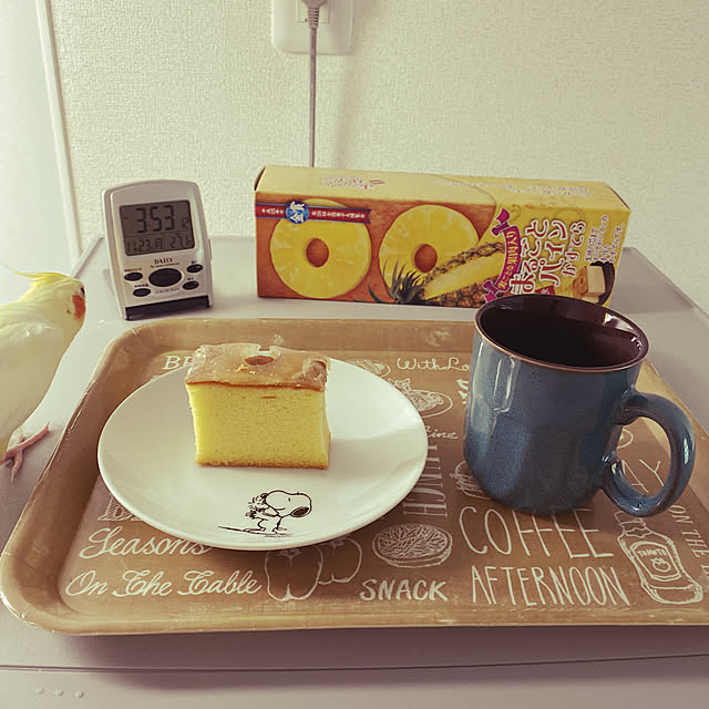 いいね！ありがとうございます◡̈♥︎/ご覧頂きありがとうございます♡/オカメインコ/キッチンのインテリア実例 - 2020-11-23 15:54:51