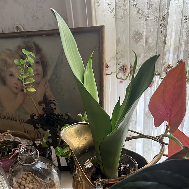 AYUKOさんの実例写真