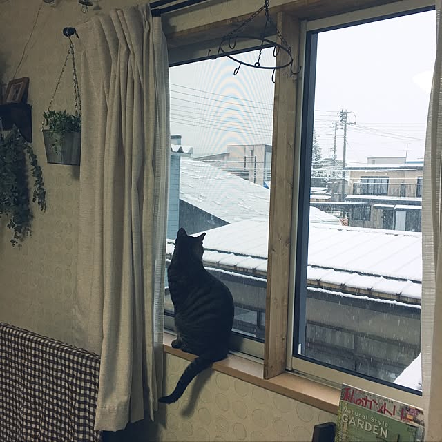 konnakanjiさんの実例写真