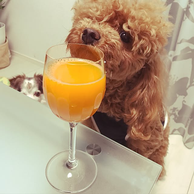 amucさんの実例写真
