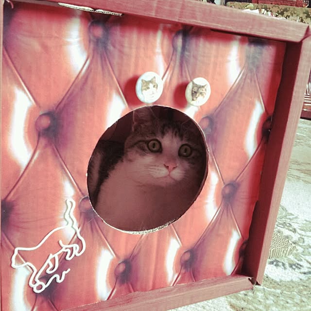 emmyyさんの実例写真