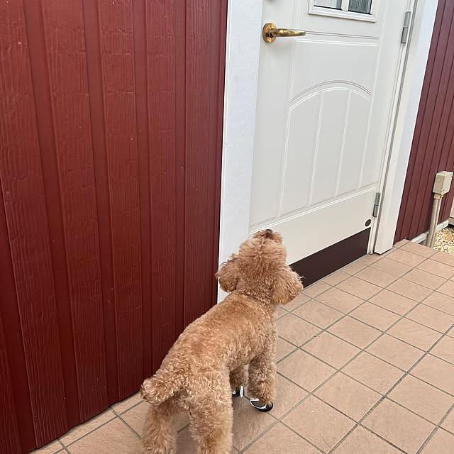 maimai35さんの実例写真