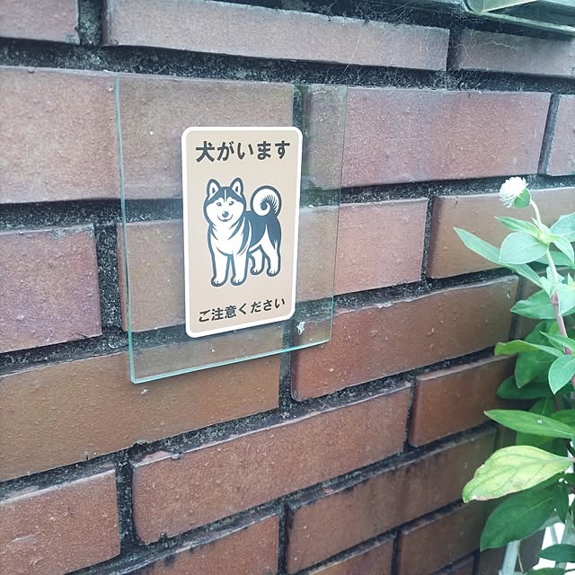玄関/入り口/防犯対策/RC柴犬の会/防犯シールのインテリア実例 - 2024-10-26 13:47:27