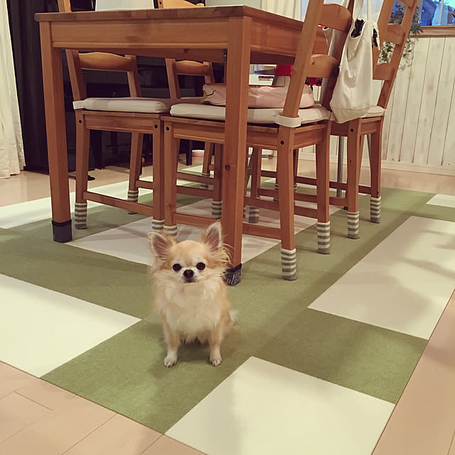 konomi513さんの実例写真