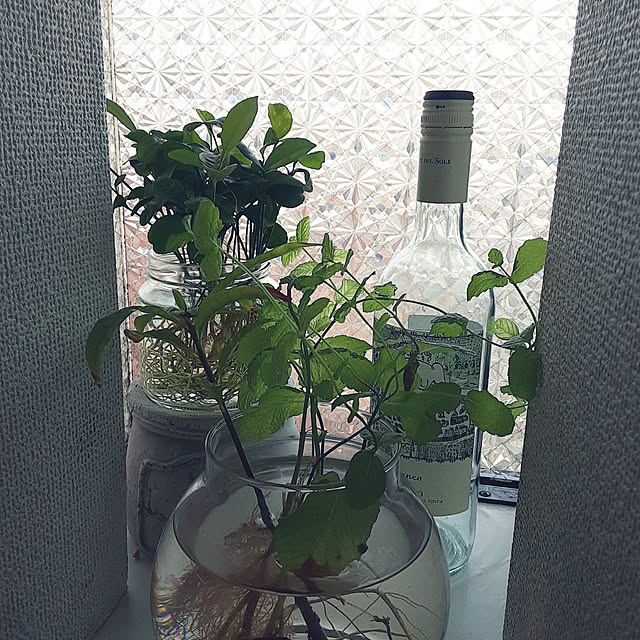 ririeeさんの実例写真