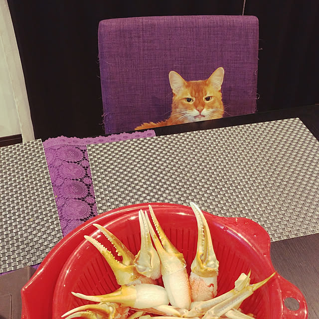 BLACKさんの実例写真