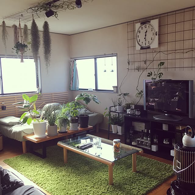 Takaさんの実例写真