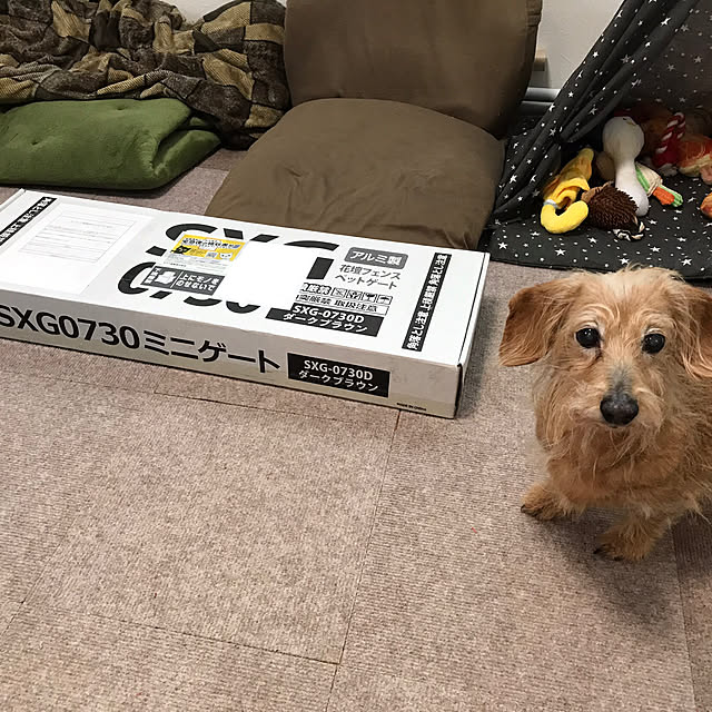 chocococoaさんの実例写真