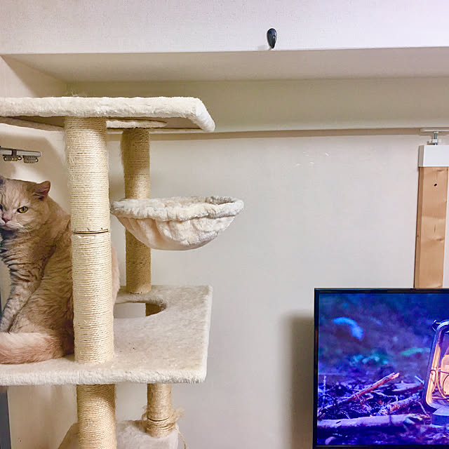 naokoさんの部屋