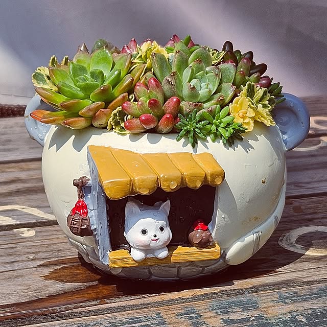 mocomocoさんの部屋