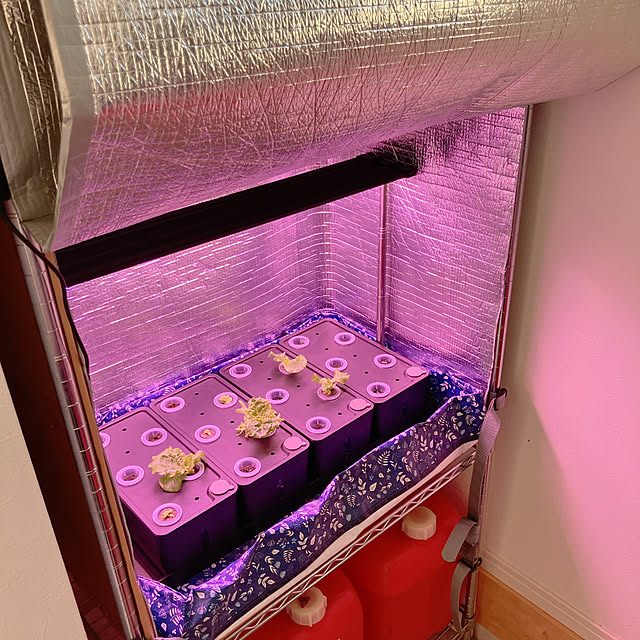 pineappleさんの部屋