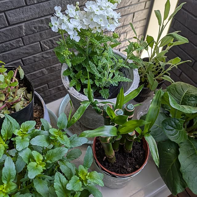 minnieさんの部屋