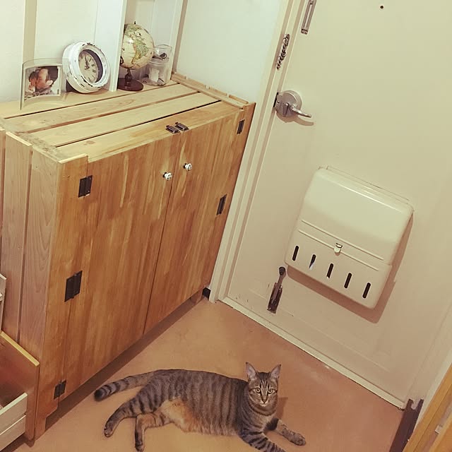 Yukiさんの実例写真