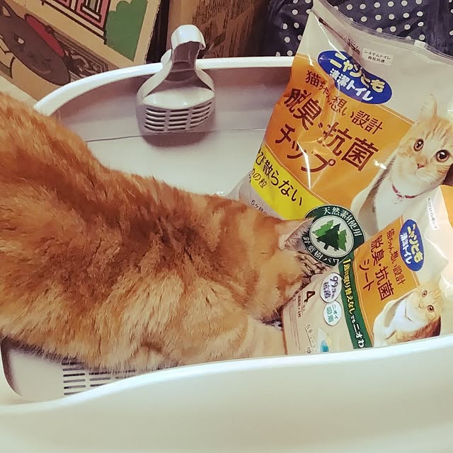 runaさんの部屋