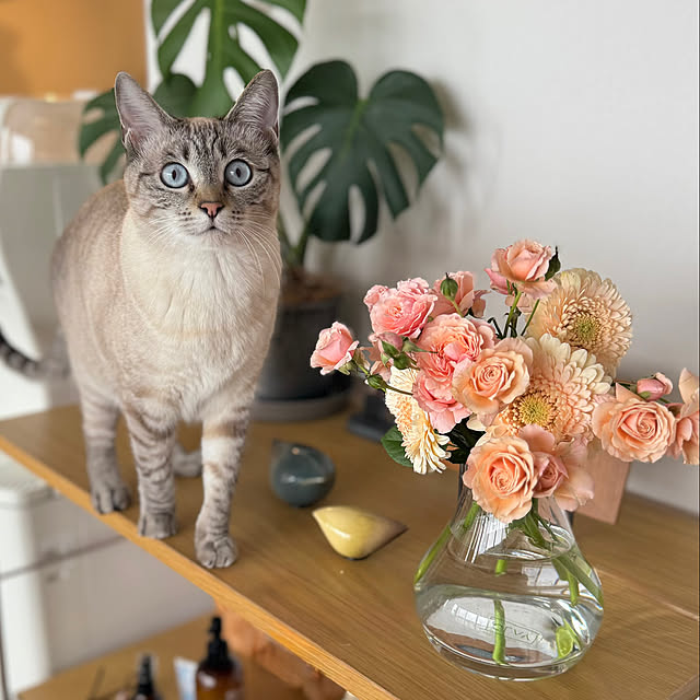 amさんの実例写真