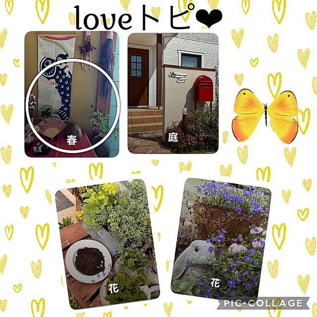 CoCo0617さんの実例写真