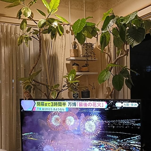 annaさんの部屋