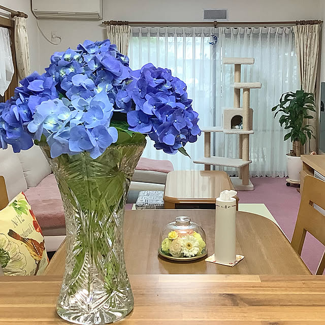haruminさんの実例写真
