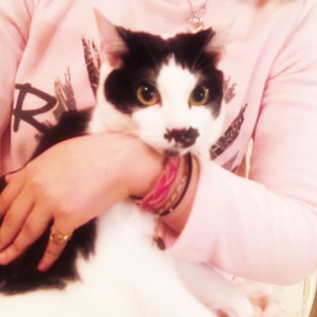 実例写真