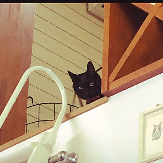 jijiさんの実例写真