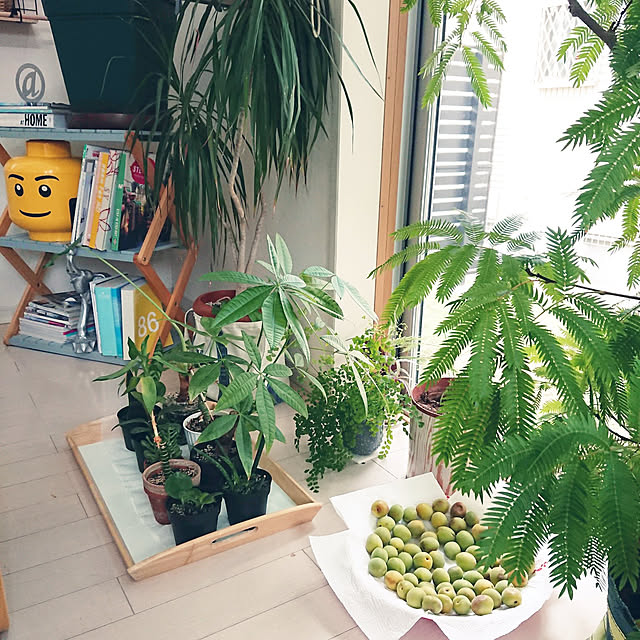 urchinさんの実例写真