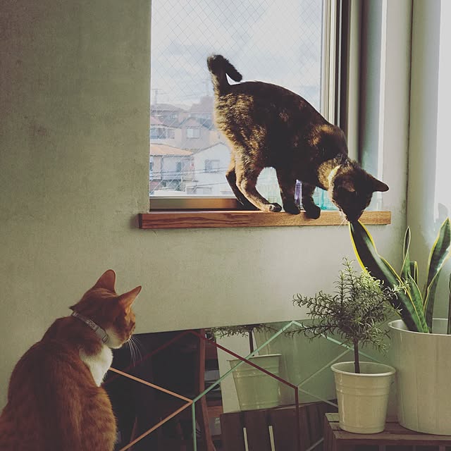 y.さんの実例写真