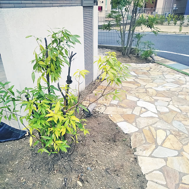kodaminさんの実例写真