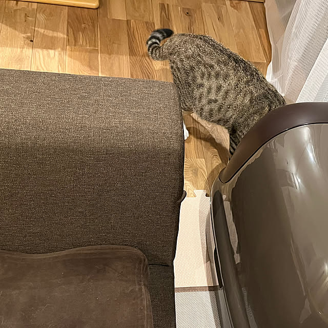 marinkarinさんの実例写真