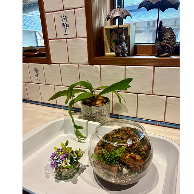 cotaさんの部屋
