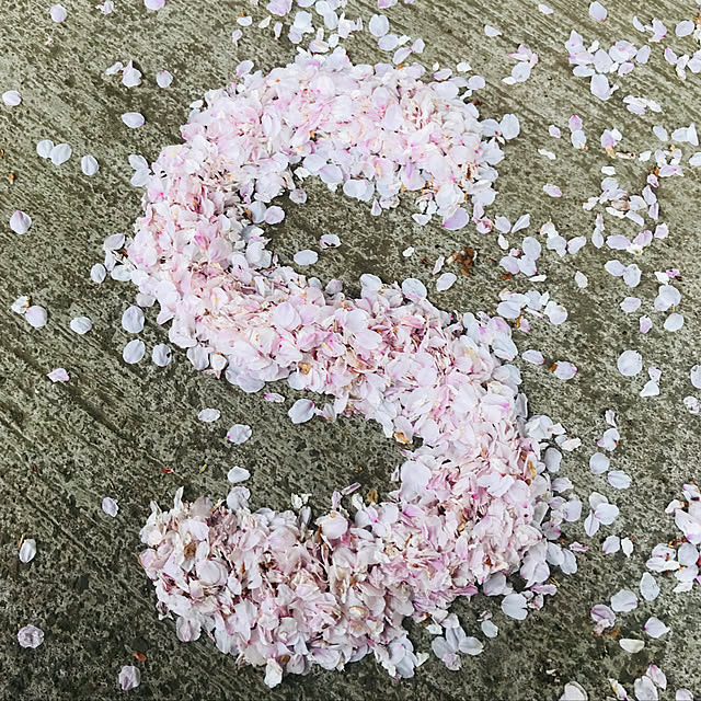 桜/インテリアじゃなくてごめんなさい/机のインテリア実例 - 2019-04-14 21:28:00