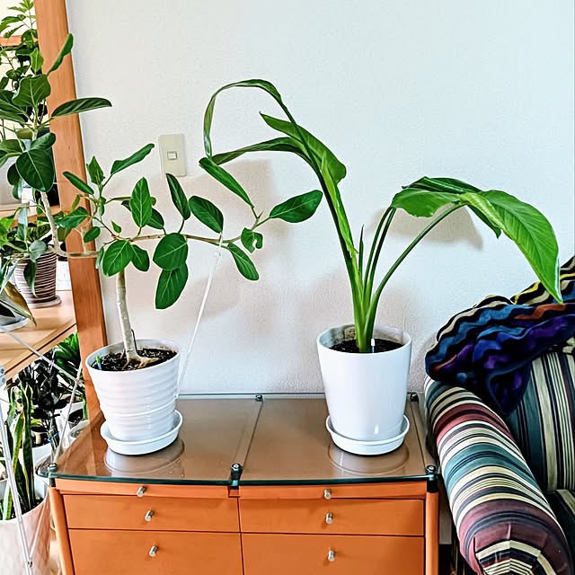 hanachanさんの部屋