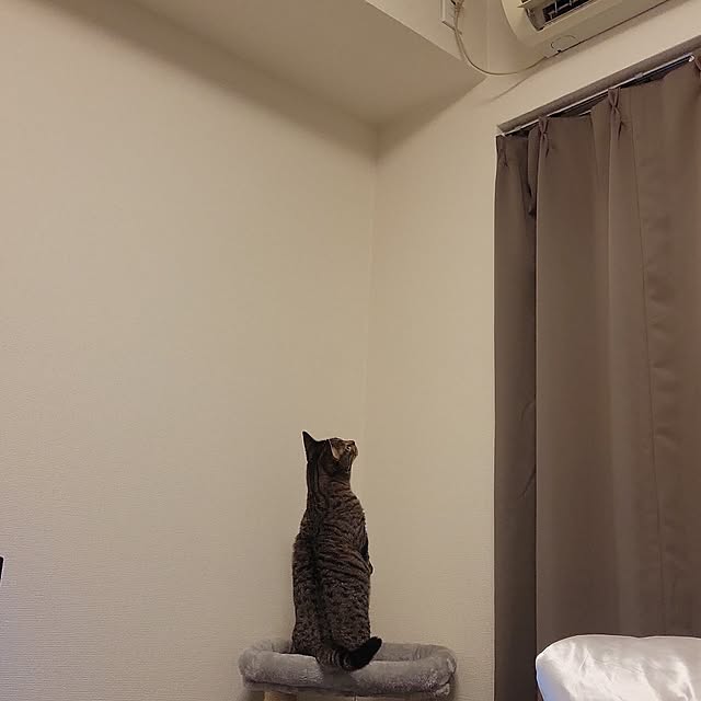 naoさんの実例写真