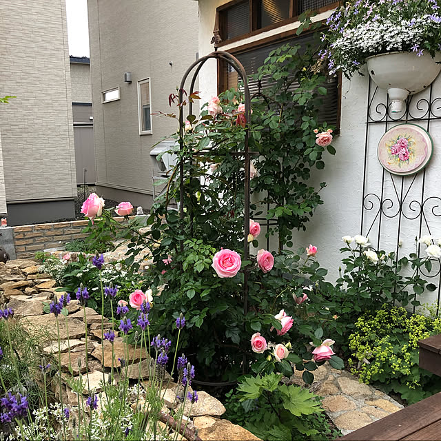 rinrinさんの実例写真