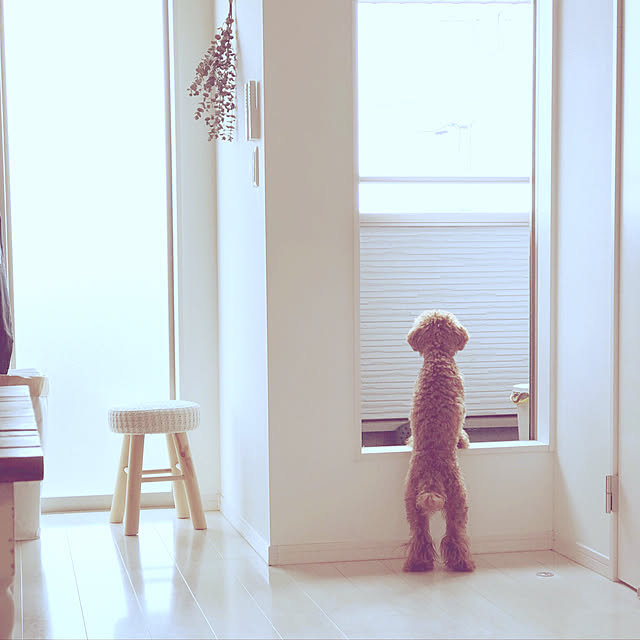 cocoaさんの実例写真