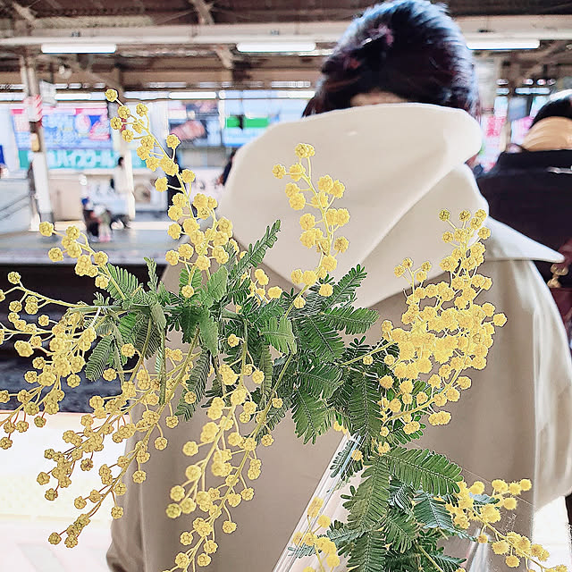 実例写真