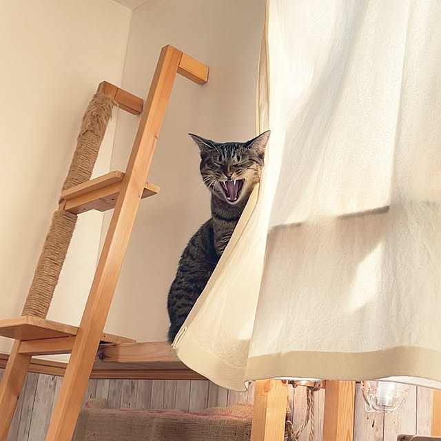 Mさんの実例写真