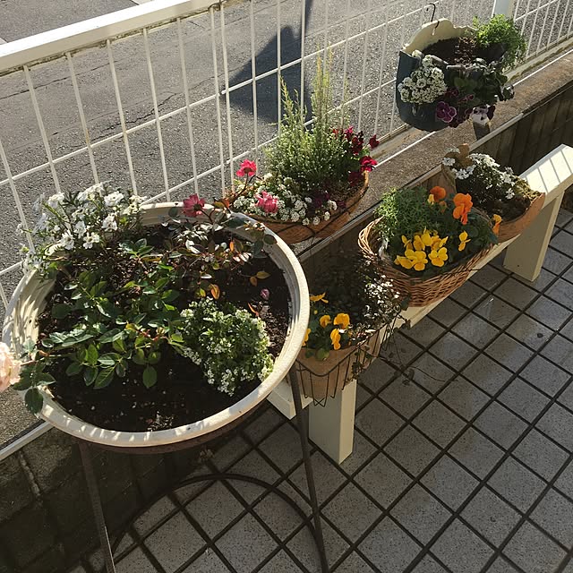 suzukoさんの実例写真