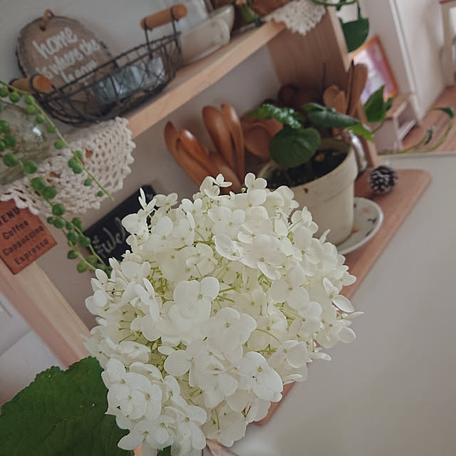 4-mamaさんの実例写真