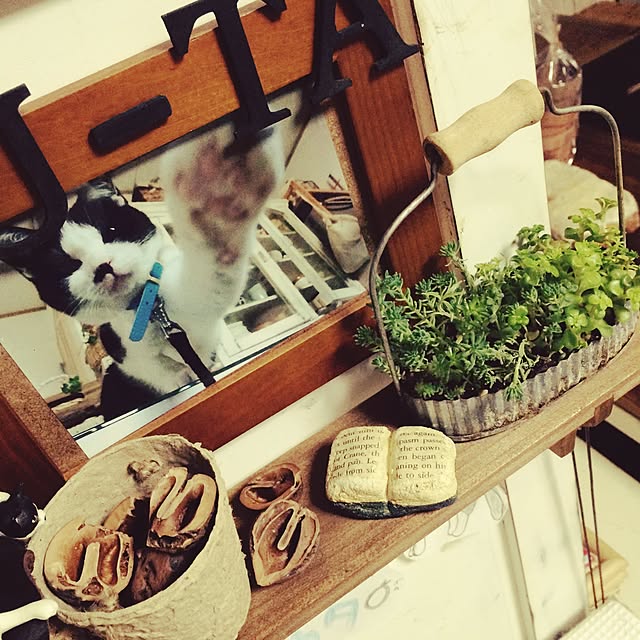 REINA612WORKSさんの実例写真