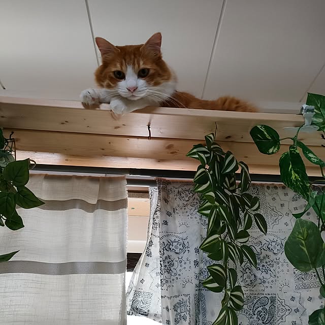 mori_6_12さんの部屋