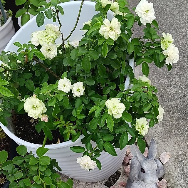 aiさんの部屋