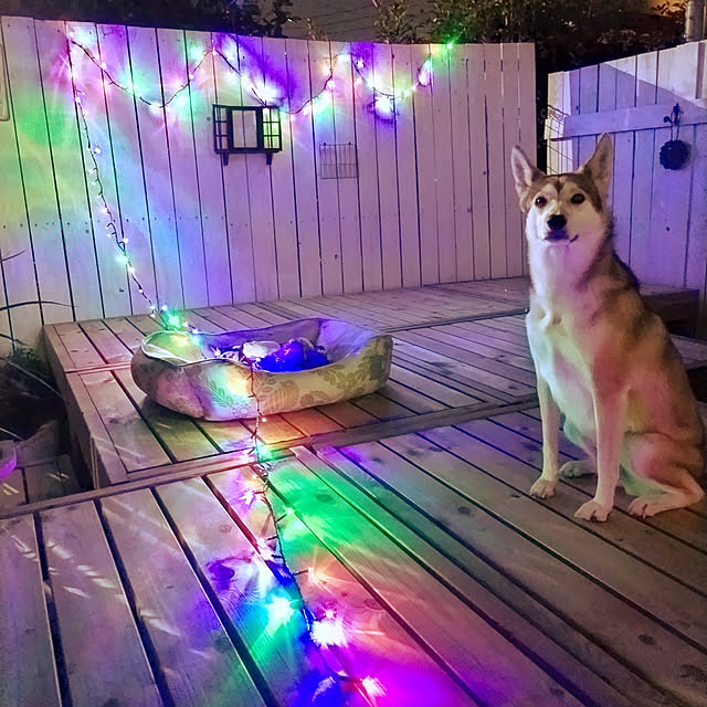 nikoさんの実例写真