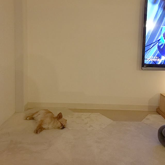 haruhinaさんの実例写真