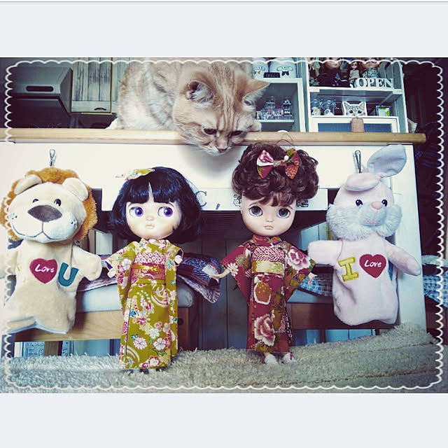 mntcさんの実例写真