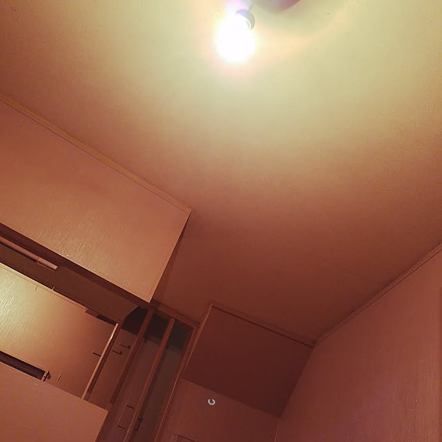 壁/天井のインテリア実例 - 2017-11-30 18:57:22