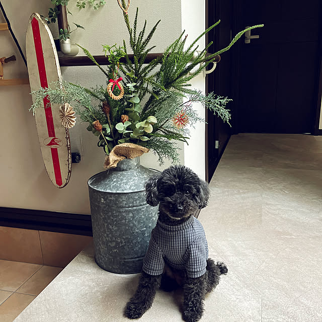 hitomiさんの実例写真