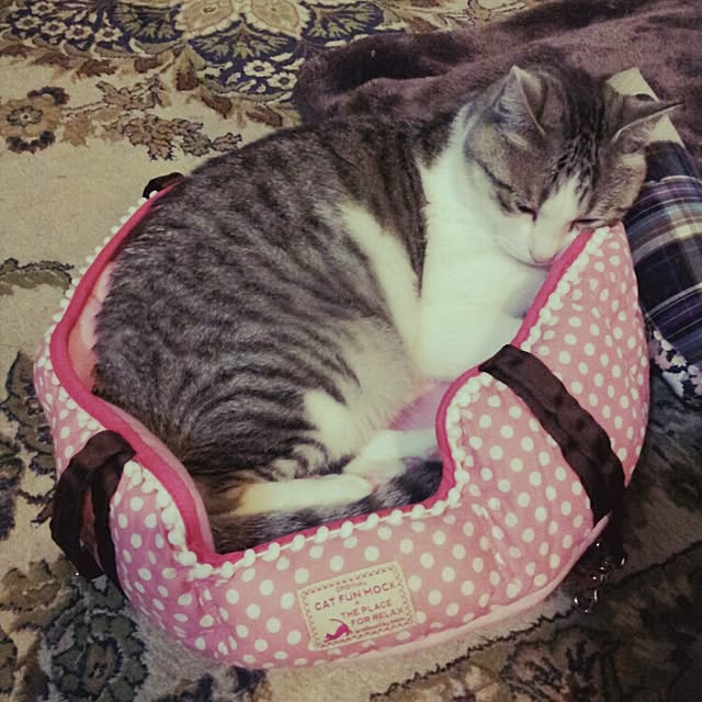emmyyさんの実例写真