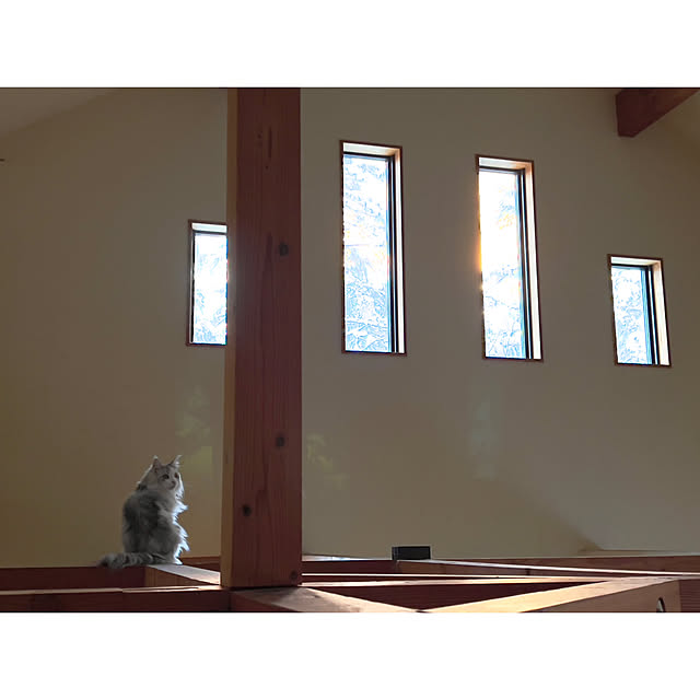 Kikko.さんの部屋